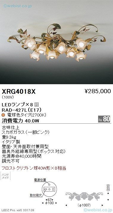 XRG4018X