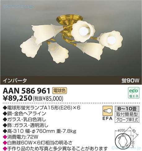 AAN586961