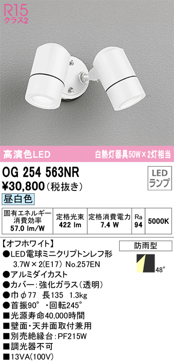 OG254563NR（ランプ別梱包）『OG254563#＋NO257EN×2』　Ｔ区分 オーデリック照明器具 屋外灯 スポットライト LED  （ODELIC）